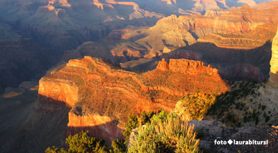 mini tour parchi americani - grand canyon