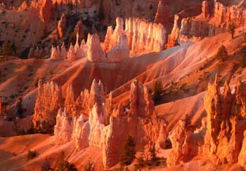 tour dei parchi americani - bryce canyon