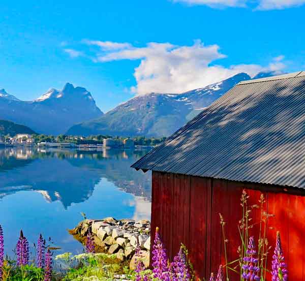 tour fiordi norvegesi
