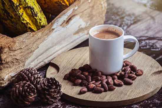 blog-massico-cacao1-550p