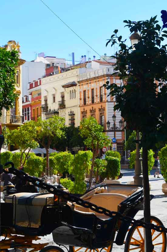 viaggio organizzato in Andalusia