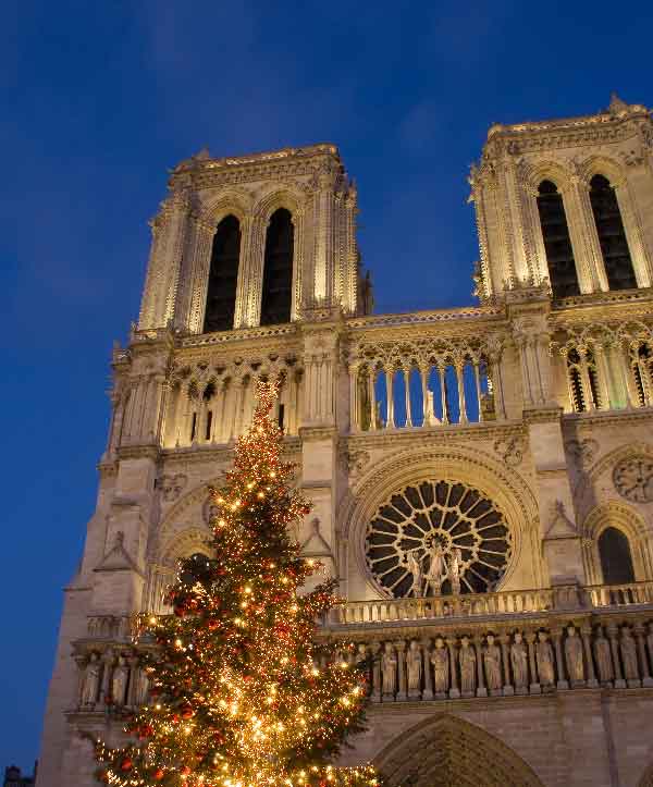Parigi - Notre Dame viaggio a Parigi per Capodanno